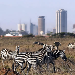 Parc National de Nairobi